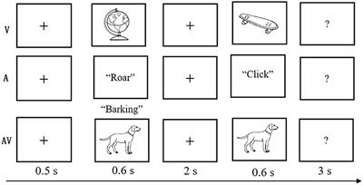 Theta Oscillations and Source Connectivity During Complex Audiovisual Object Encoding in Working Memory